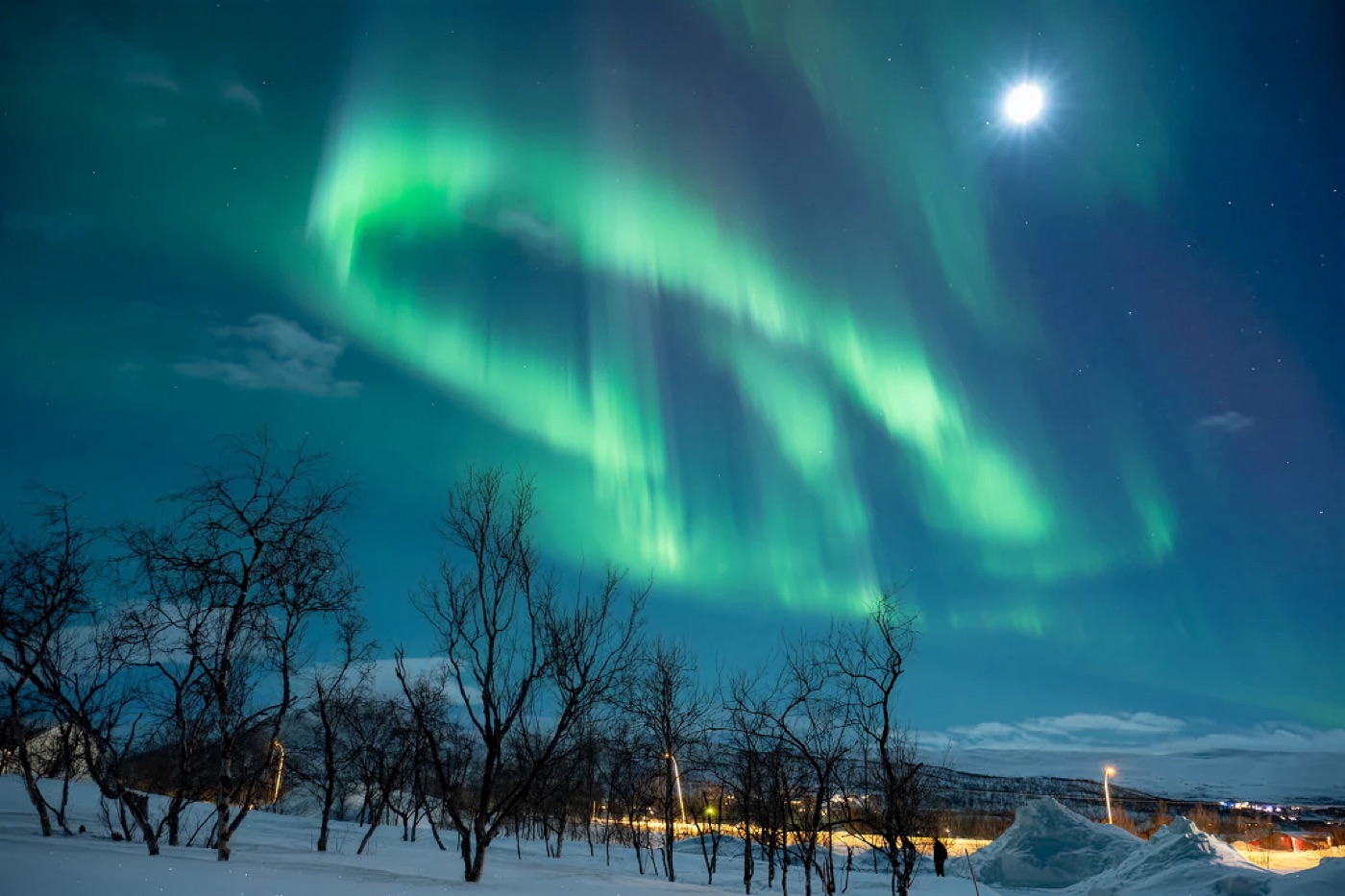 Green aurora borealis over snowy birch trees at night