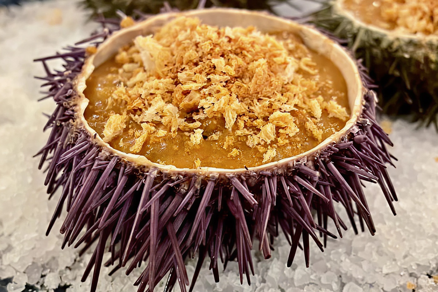 Freshly caught Arctic scallops, sea urchins and local seafood delicacies